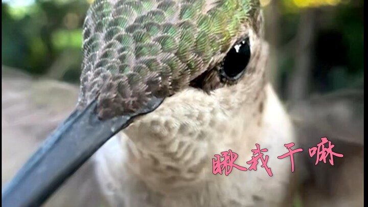 Ngemil apa sih yang enak banget itu?