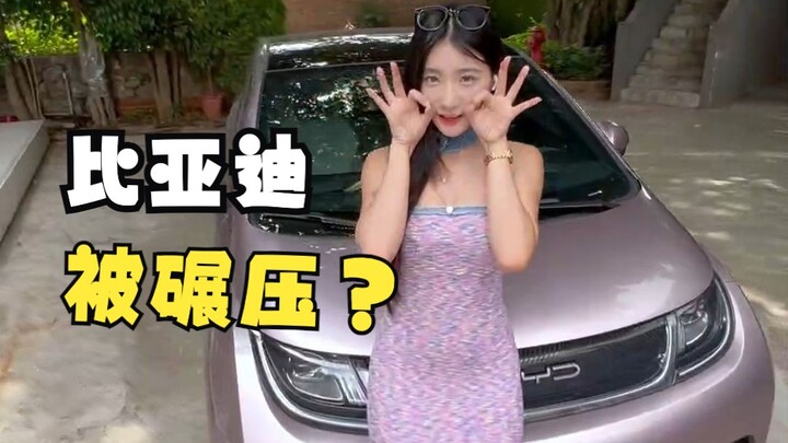 Why is the BYD Dolphin constantly being criticized?
