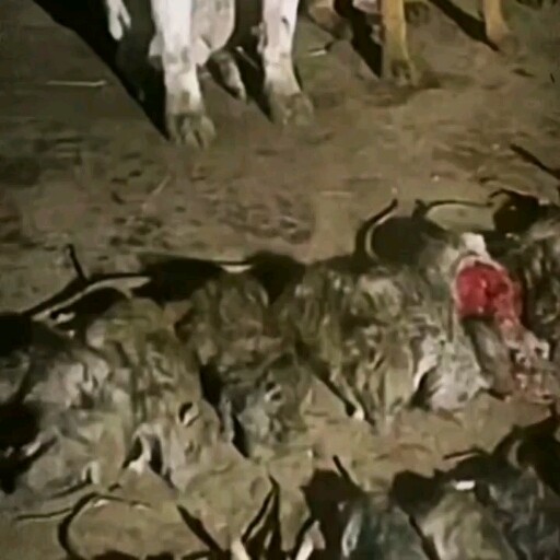 “Pasukan Pemburu Tikus”