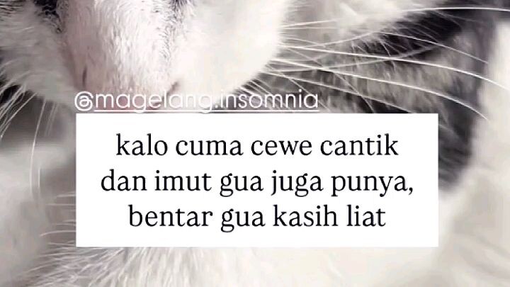 cantiknyoo