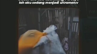 percayalah aku sedang menjadi ultramen:v