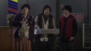 You can tell at first glance that Ms. Leopard has seen a lot of storms!