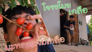 ขโมยเกลือไปจิ้มมะหลอด ที่นี่ที่ไหน Ep : 1