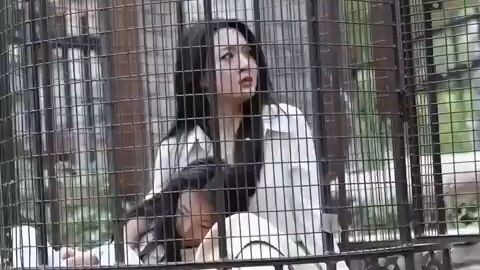 PENCULIKAN YANG PALING KONYOL, DIA MALAH NANGKAP ISTRI DEWA PERANG 😱