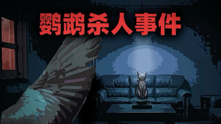 我从来没有想过，一只鹦鹉竟然能够杀人