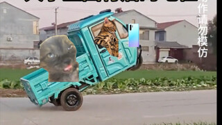 大学生回村的地位