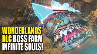 Coiled Captors DLC INFINITE LOOT & SOULS FARM GUIDE! | Tiny Tina's Wonderlands