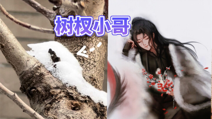 على فرع الشجرة تحت البناية، شاب صغير يرى مشاهد غريبة بينما يشرب الحليب | كل الأشياء حيّة ورقيقة: فيد