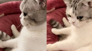 Baru saja mengatakan beberapa kata padanya, dia terus begini