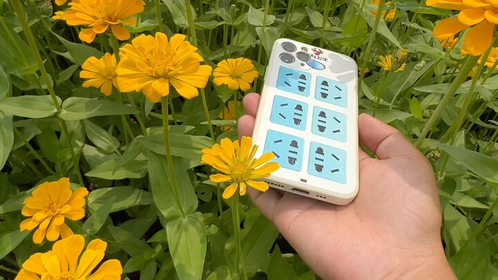พลิกโทรศัพท์แล้วลองถ่ายภาพทะเลดอกไม้แบบนี้
