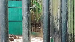 曾經的我，在乎的事兒很多，所以脾氣很不好，但是卻很容易心軟；現在的我，在乎的事兒越來越少，脾氣越來越溫柔了，但是心卻越來越硬了。