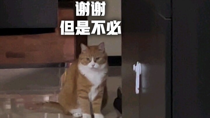 Thức ăn cho mèo này chỉ dành riêng cho mình tôi, hay là cả những con mèo khác cũng được ăn?