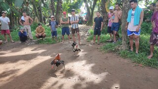 Tinola line Lang Kaya nilabanan nila Kahit maliit sakanila