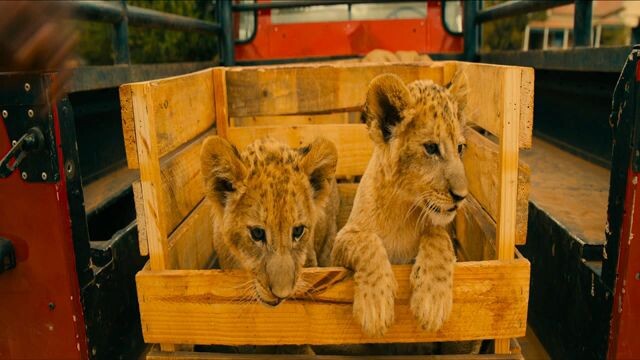 นางสิงห์ ระห่ำล่า