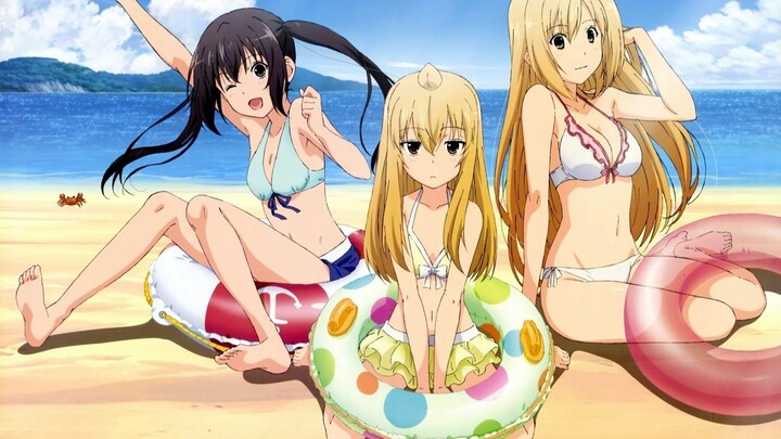 [TV Anime] Season 5 of Minami-ke Decided! Special Video