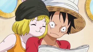 One Piece 977 Analysis (2): Kaido's son appears, he's not Big Mom's! Akin: Let me go! This is the fo