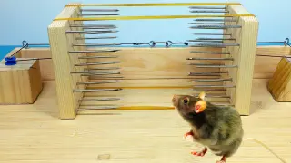 Arrows Going Through a Rat's Heart! DIY Rat Catching Mechanism.