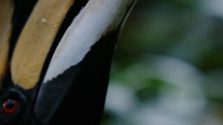 For a bite to eat, it pulled out an astonishingly perfect move.