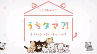 UCHITAMA?! Have You Seen My Tama? Ep 2