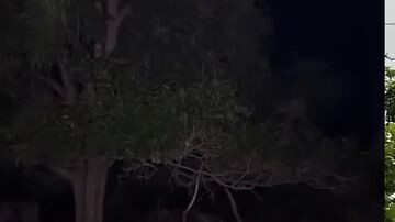 mbakuntinyakaget