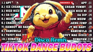 New VIRAL TIKTOK DISCO PARTY 2024 - NEW TIKTOK BUDOTS DANCE REMIX 2024