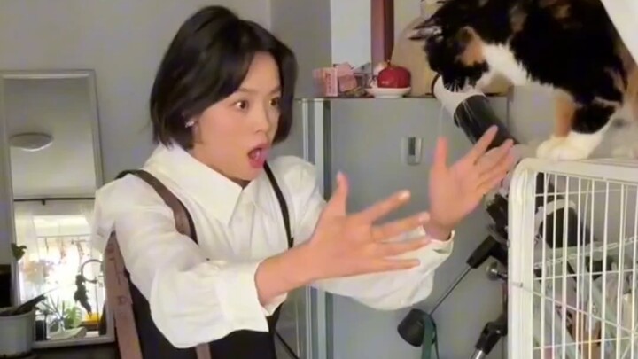 เสื้อผ้าทำให้แมวหน้าตาแย่ไปเลย