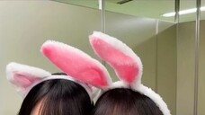 【賀喜遥香×遠藤さくら】いちゃいちゃするかきねことうさく_乃木坂46(360p)