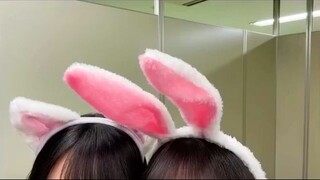 【賀喜遥香×遠藤さくら】いちゃいちゃするかきねことうさく_乃木坂46(360p)
