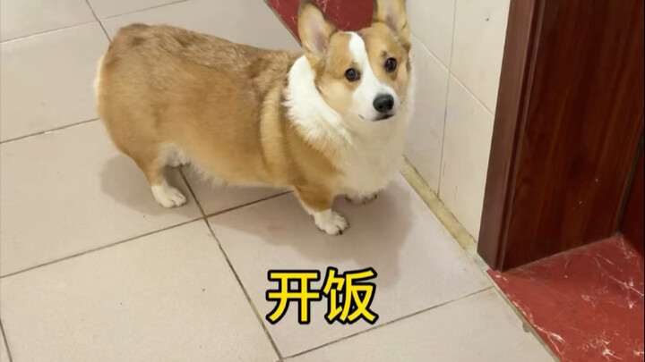 Xiao Jiu: Is this fair?