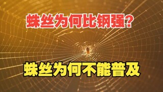 Why is spider silk stronger than steel? Why isn't it more widely used?