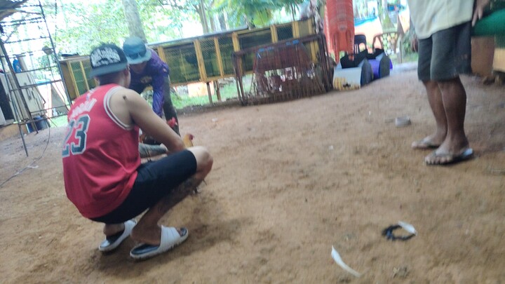 try lang Manga alaga