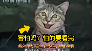 So it turns out that our fear of humanoid creatures is triggered by the "uncanny valley effect"❗️