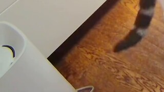 I originally thought it was a supernatural incident, but after watching the surveillance, it turned 