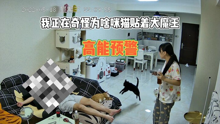 Xin lỗi 🧎‍♀️ Tui thật sự không nhịn được nữa, hahaha...