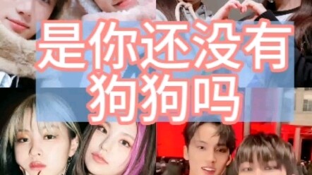 The couple challenge sweeping Korean idol groups—Hey, do you still not have a dog?