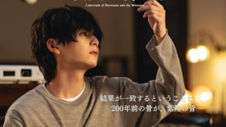 Labyrinth of Hortensia eps 5 sub indo