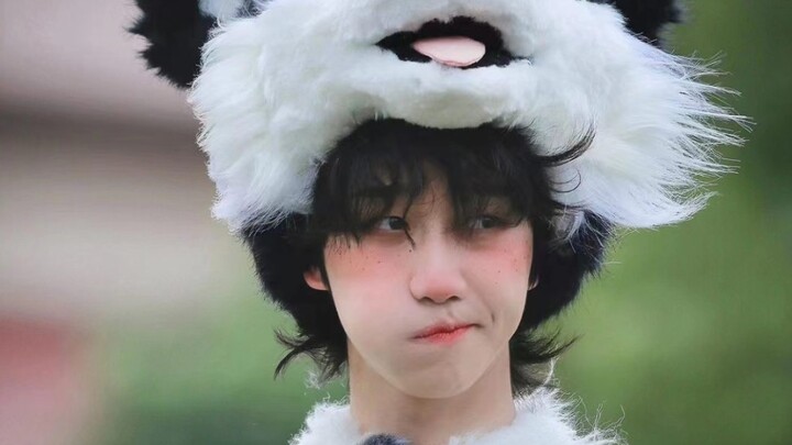 【Từ Minh Hạo】Fan cuồng thú cưng phát cuồng rồi aaaa! Tạo hình mới nhất của Thanh Hoàn! Má hồng, tàn 