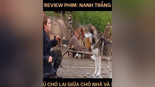 Review Phim: Nanh Trắng (p2) reviewphim tomtatphim worldfilm xuhuong xuhuongtiktok