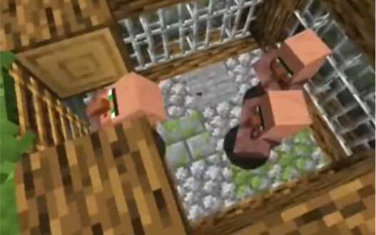A grateful villager