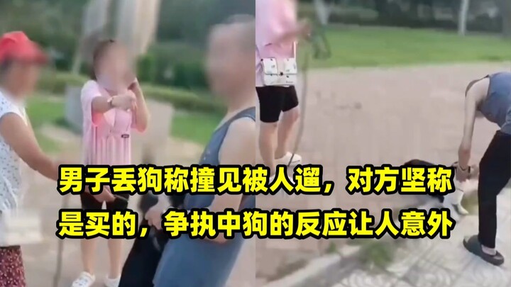 Người đàn ông bỏ rơi chó, nói rằng vô tình bắt gặp ai đó đang dắt nó đi dạo; phía bên kia nhất quyết