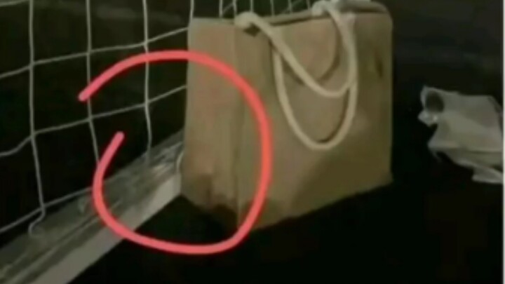 Let you play football in my living room? 😡