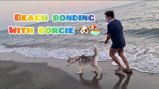 Husky niyo swimmer na. Borgie, 1st time maligo sa dagat. PART 1