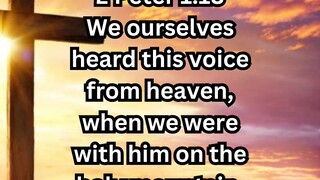 Daily Reflection May 03, 2025 #faith #bible #reflection