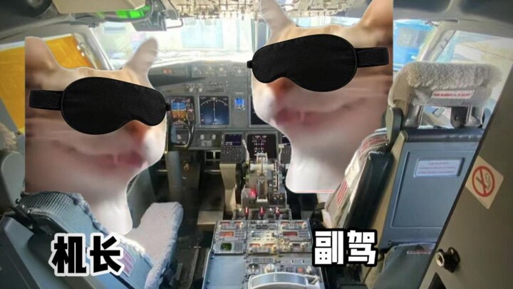 When the captain found out it was your first time flying...