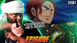 SHANKS ARRIVES AT WANO & GREENBULL ATTACKS! | One Piece FULL Episode 1081 Reaction
