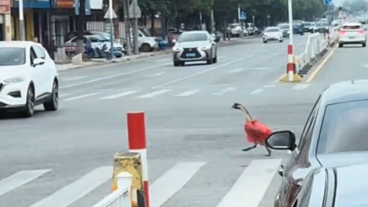 If you're in trouble, call the police.