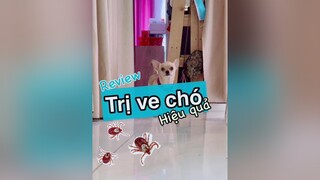 Trả lời  Đây!!! Viên nhai trị ve chó hiệu quả! chihuahua pet thuoctrivecho thucung thucungvuinhon thucungdethuong chó chó_cưng