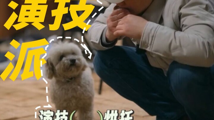 Zhang Songwen and his acting‑star puppy—Xiaobai