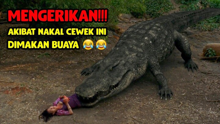 CEWEK BUAYA LAWAN CEWEK ULAR || Alur Cerita Film Mega Python vs Gatoroid (2011)