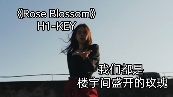 《Rose Blossom》翻跳|我们都是“楼宇间盛开的玫瑰”